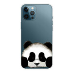 iPhone 13 Pro Duidelijk Geval Panda