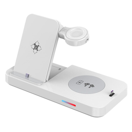 Oplaadstation voor meerdere...