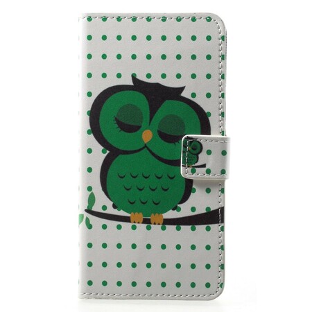 Huawei P20 Pro Hoesje Slapende Uil