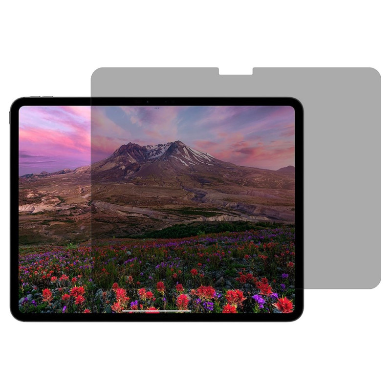 Anti-Espion gehard glas bescherming voor iPad Pro 11 (2024)