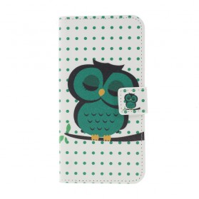 Samsung Galaxy S10 Plus Hoesje Slapende Uil