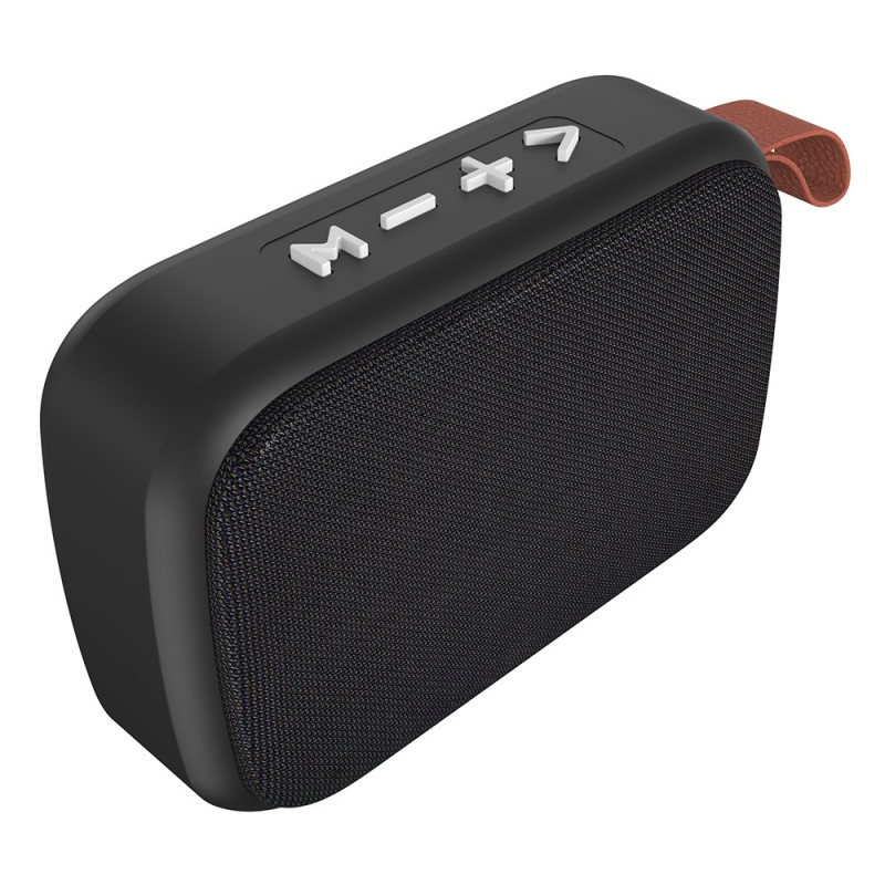 Enceinte Bluetooth Portable Étanche avec Radio FM