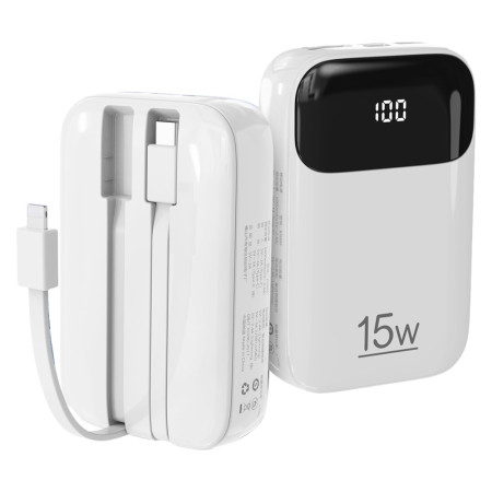 ROISKIN Externe Batterij...