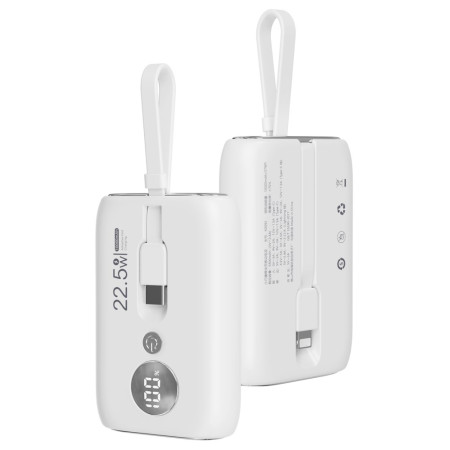 ROISKIN 10000mAh externe...