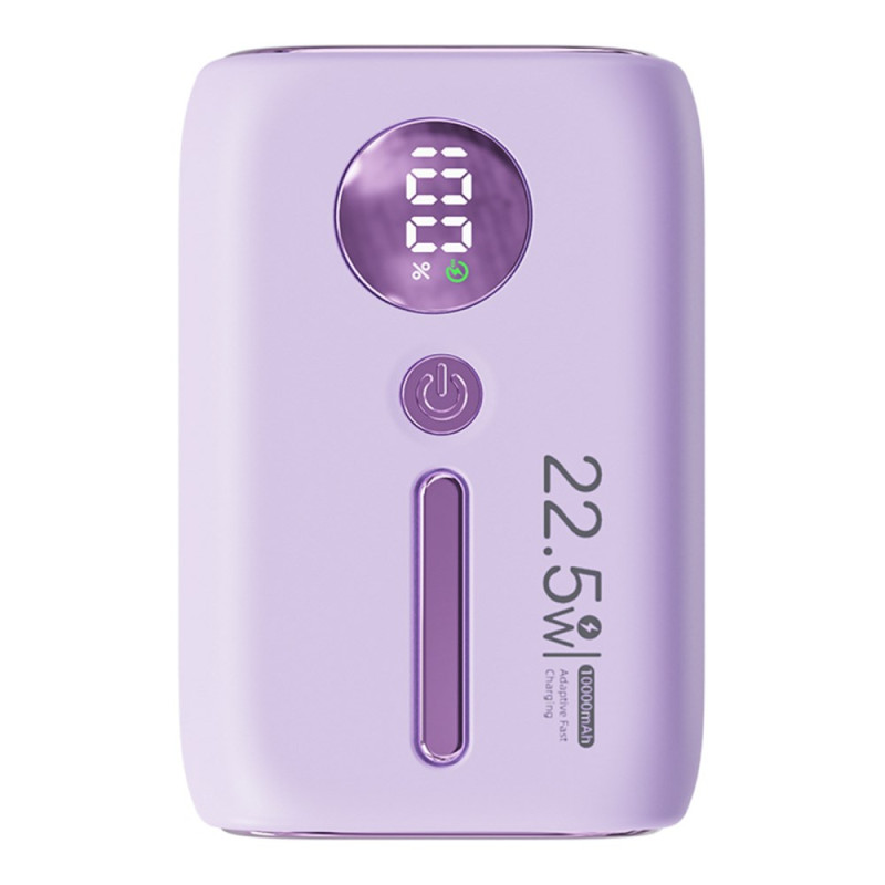 ROISKIN 10000mAh externe batterij met digitaal display