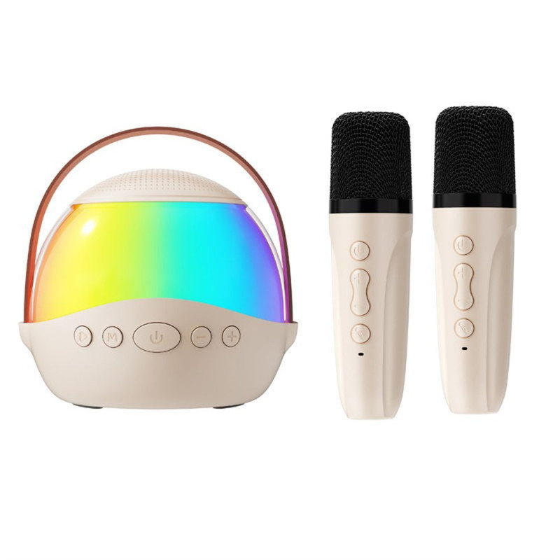 Draagbare Bluetooth-speaker
 met RGB-verlichting en 2 draadloze microfoons voor karaoke