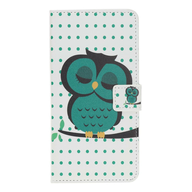 Beschermhoesje voor iPhone 11R Sleeping Owl